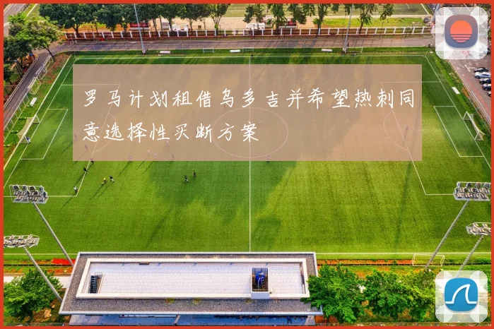 罗马计划租借乌多吉并希望热刺同意选择性买断方案