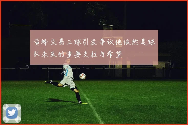 黄蜂交易三球引发争议他依然是球队未来的重要支柱与希望